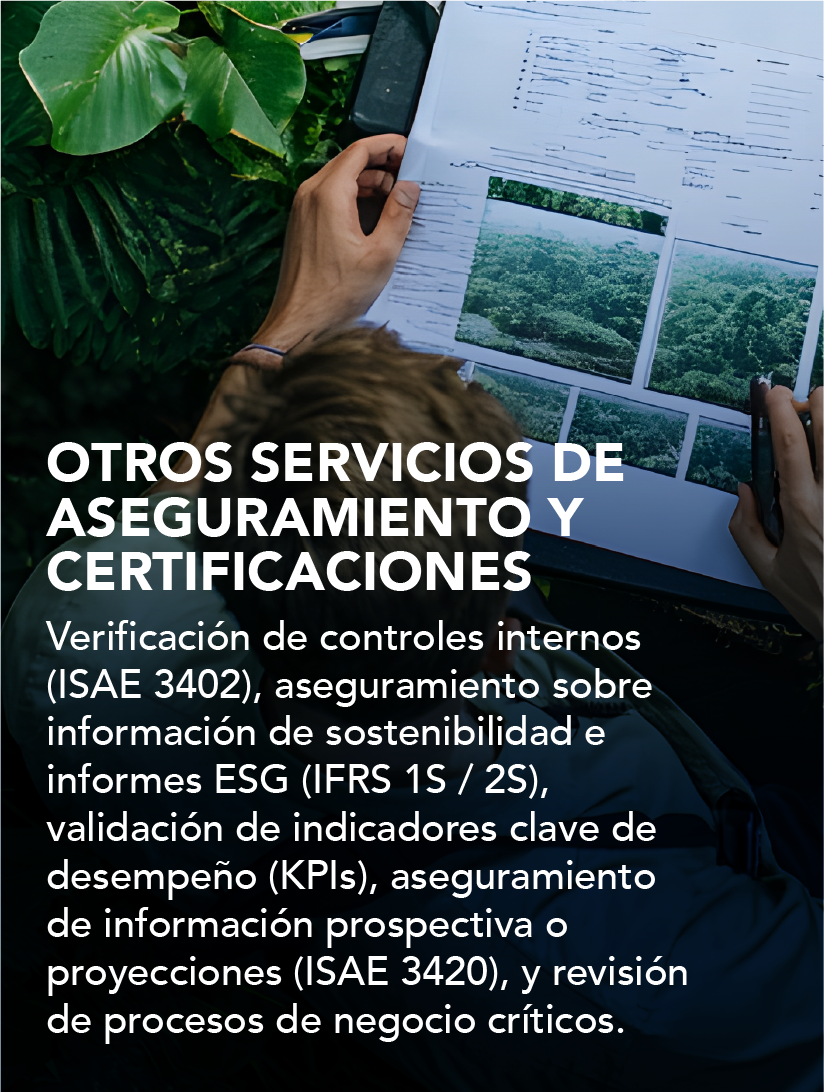 Servicio 7