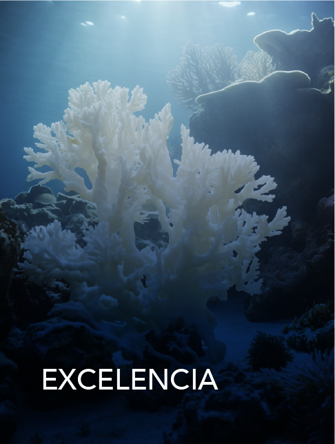 Excelencia