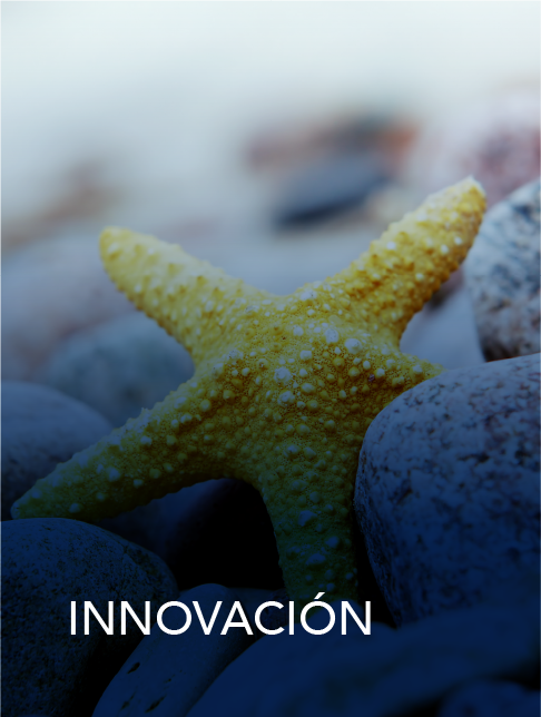 Innovación