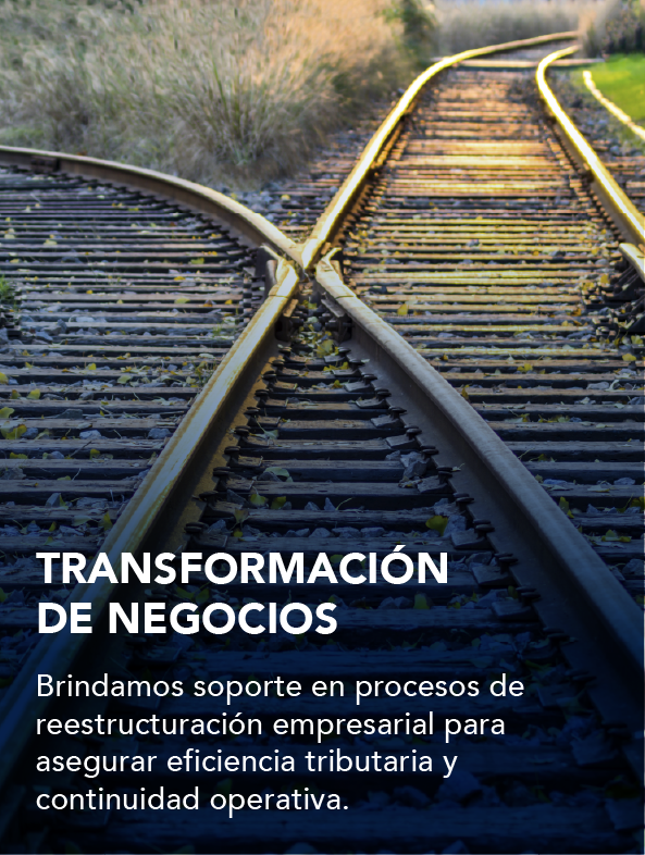 Servicio 6